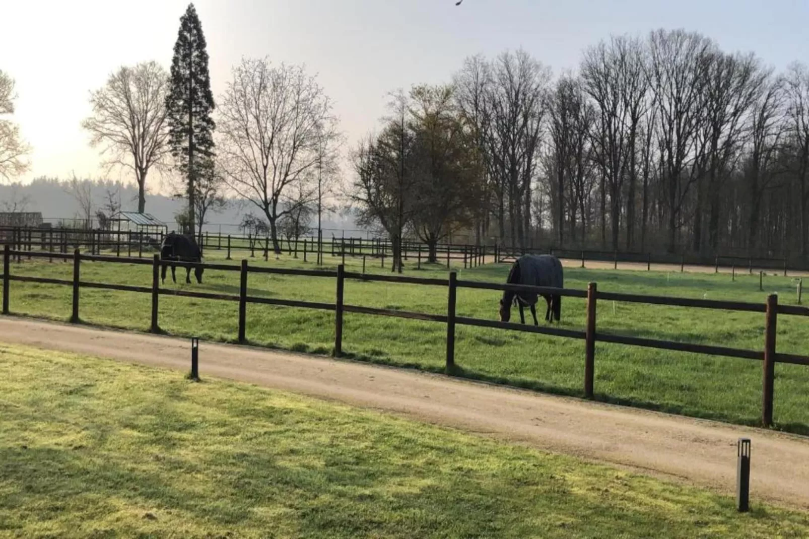 Vakantiepark Latour 7-Areas within 20km in summer