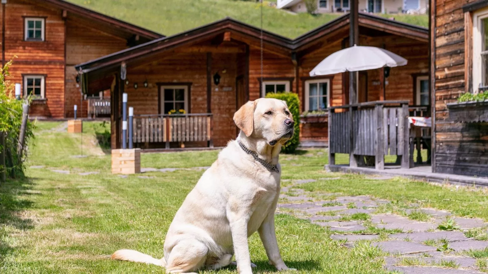 Uriges Chalet 7-Ambiance