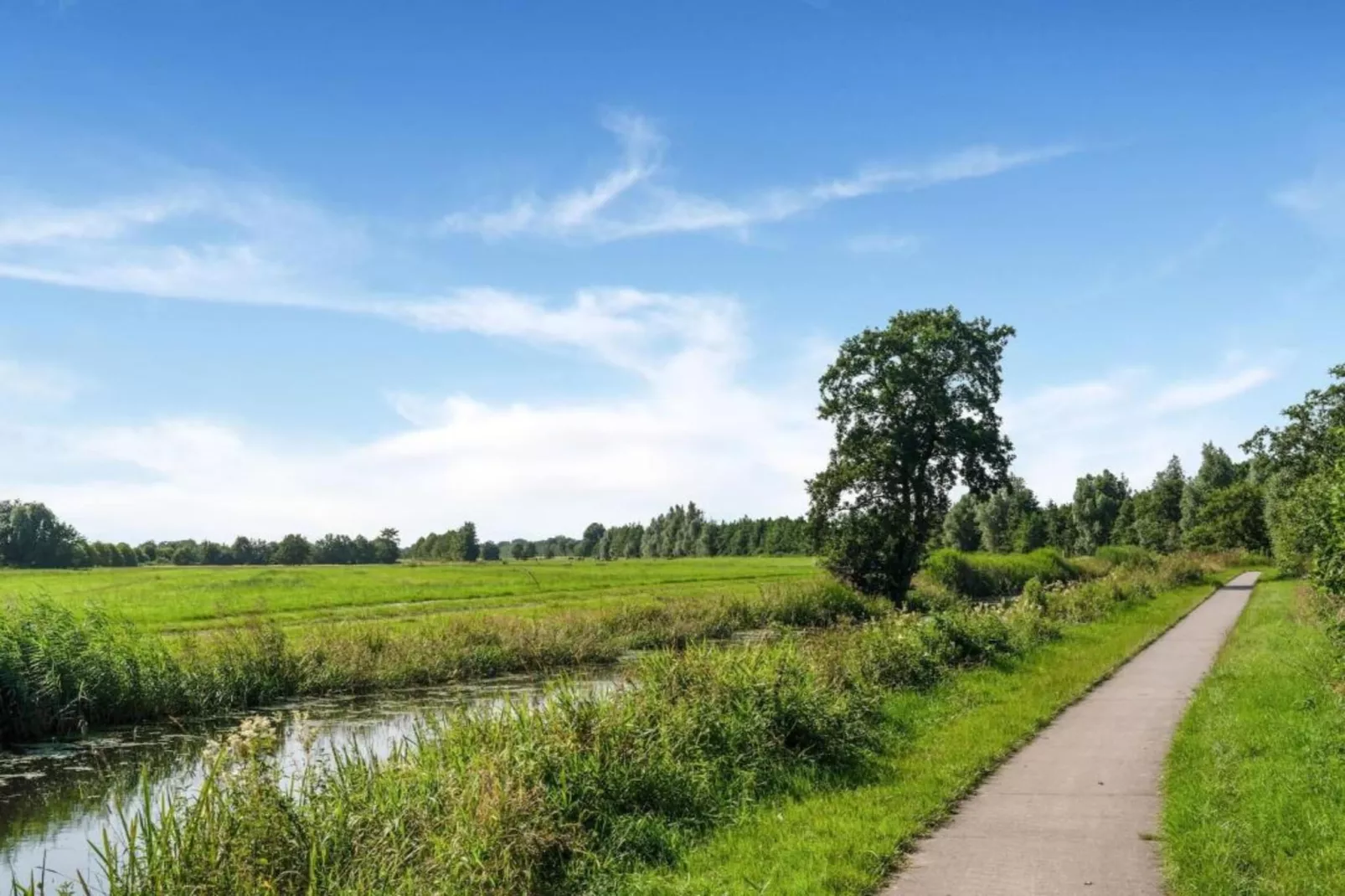 Twee safaritenten "Noflik" & "Gaadlik" naast elkaar-Areas within 5km in summer