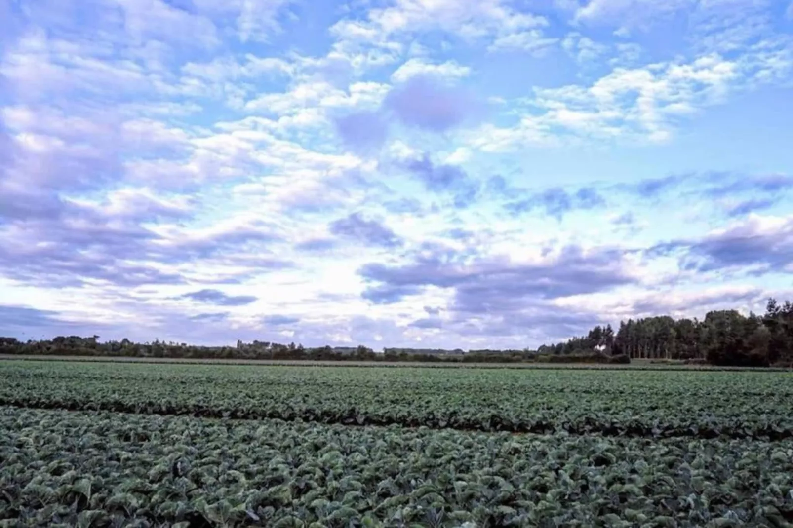 Achterweg 10 l Zonnemaire 'Sol e Mar'-Gebiete Sommer 20 km