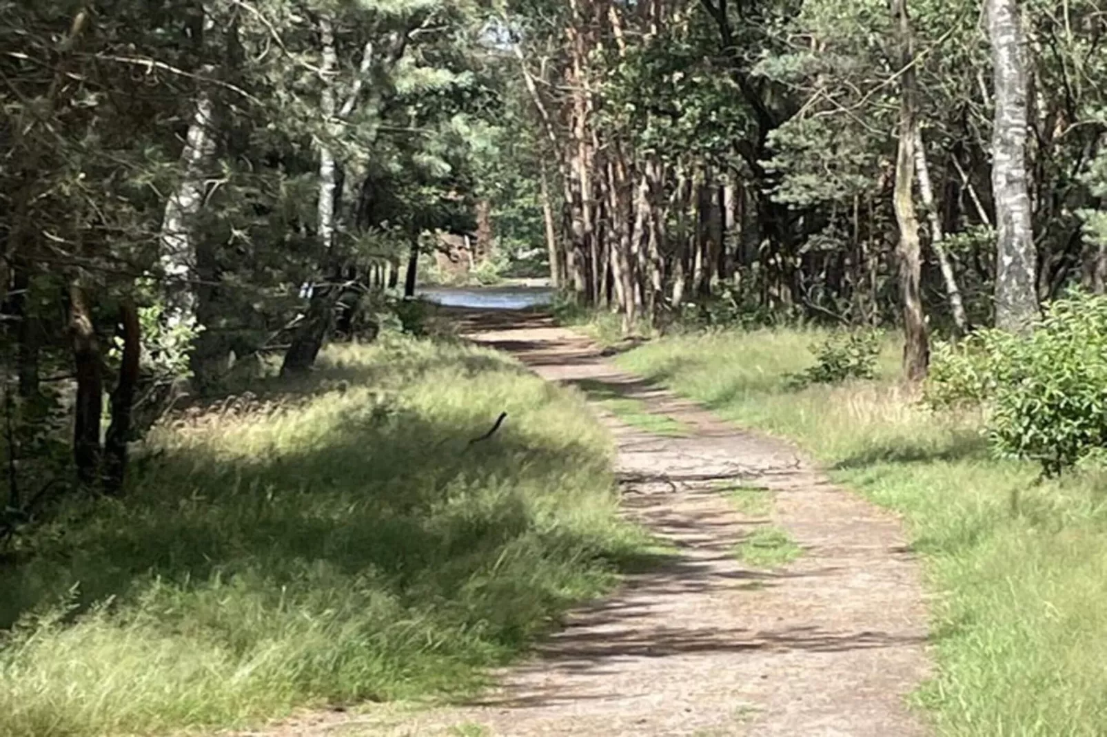 Dwergarend 17-14-Zones été à 20 km