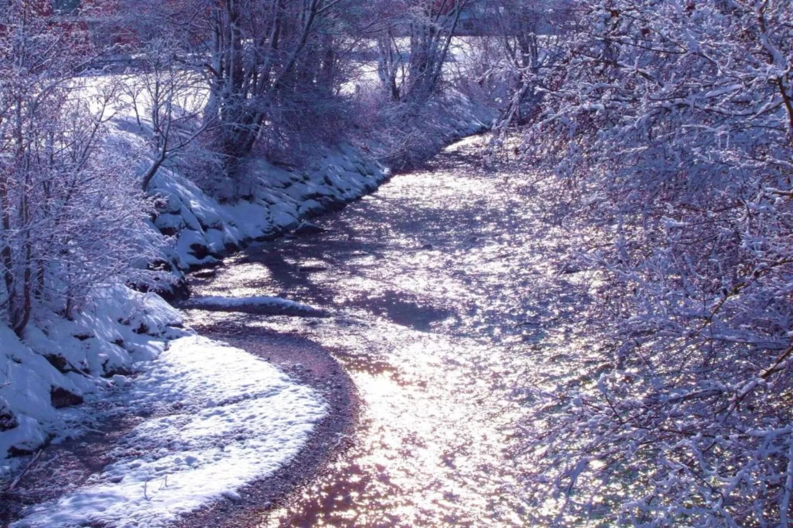 Apartment 7-Area within 20km in winter