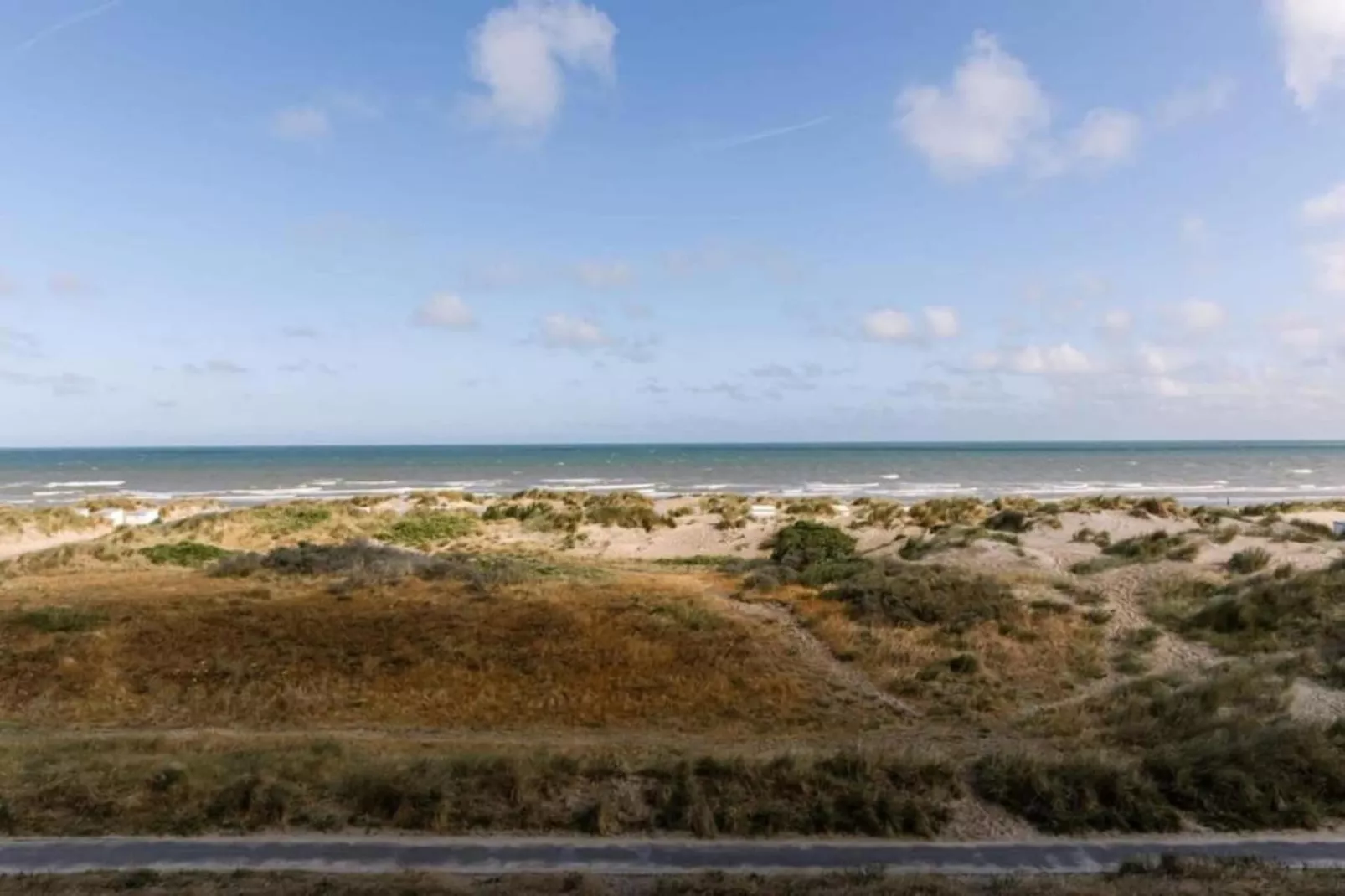 PLAZA A1/A1A02-Areas within 5km in summer