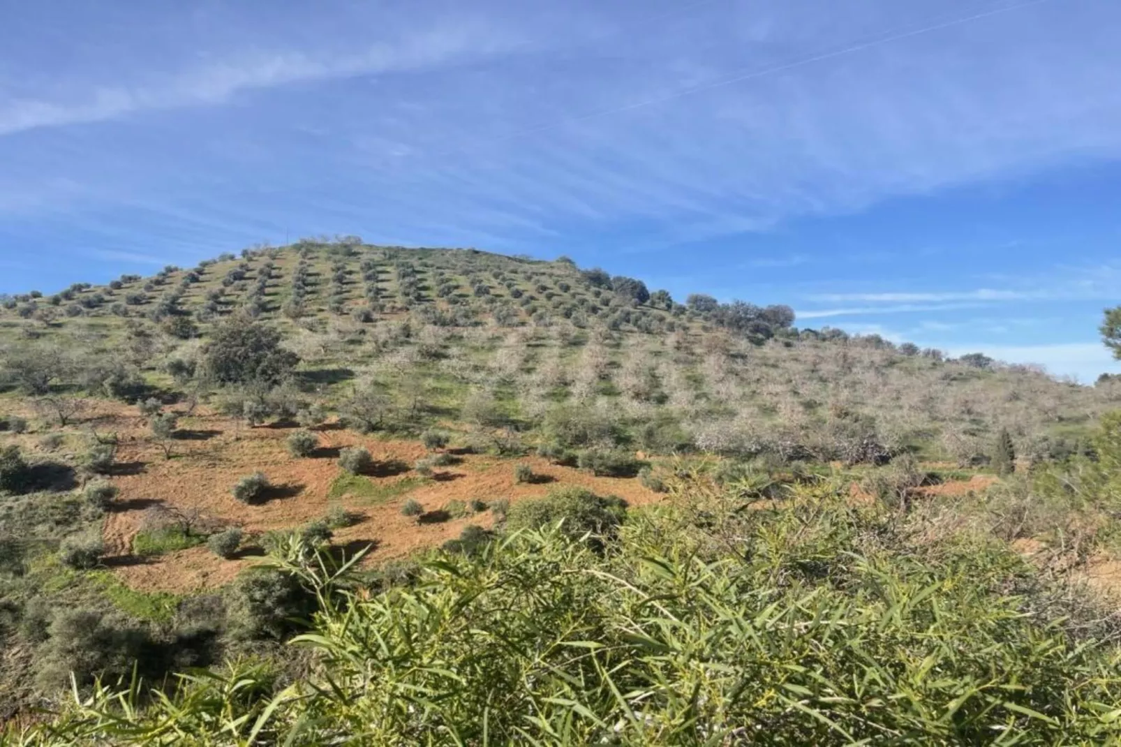 Casa el Cielo-Areas within 5km in summer