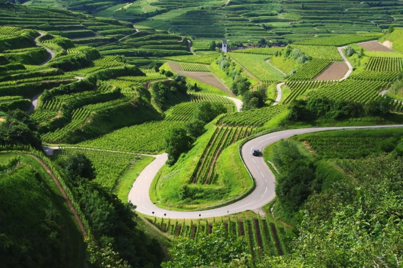 Monet-Areas within 20km in summer
