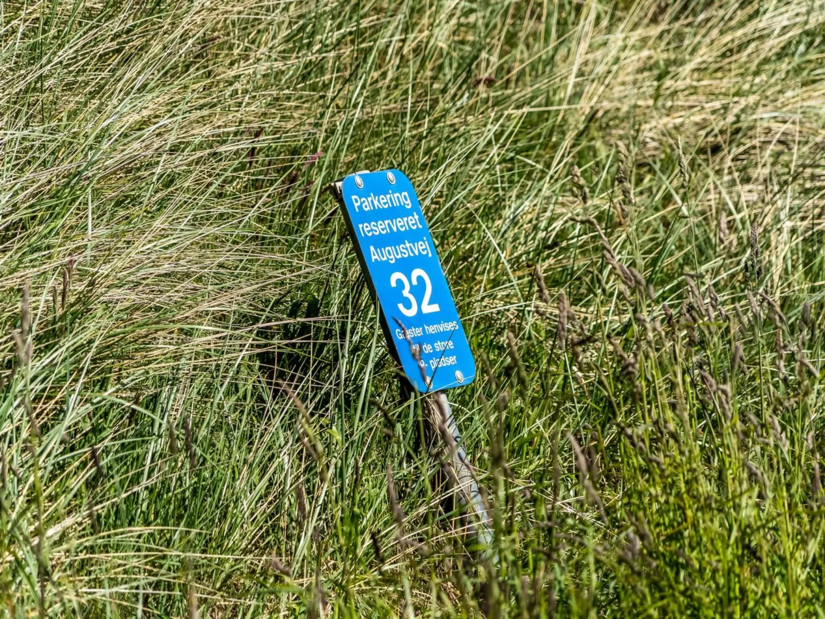 "Fatlinda" - 50m from the sea-Outside