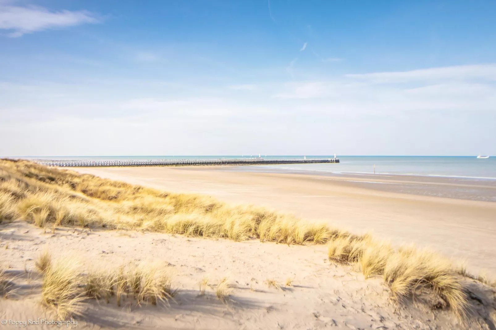 SEASIGHT A 0303GAR-Gebiete Sommer 5 km