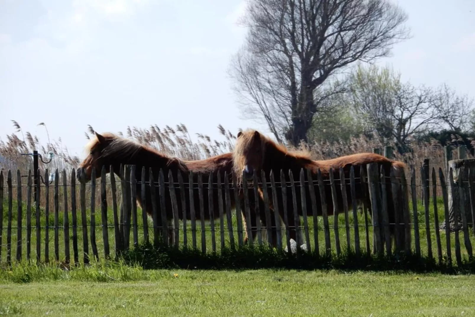 DEN OEVER VI 103-Zones été à 20 km