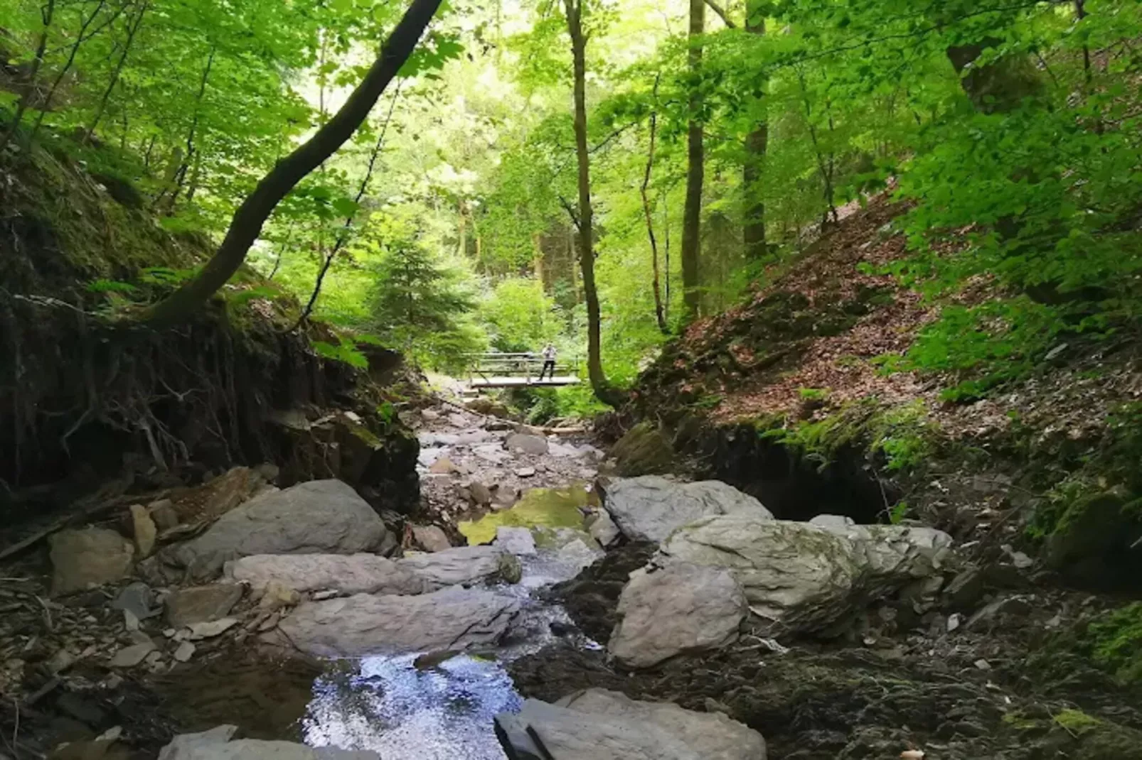 Auszeit Winterberg-Areas within 5km in summer
