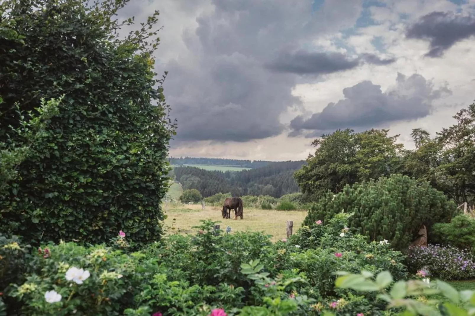 Appartement Eifelsteig-Zones été à 20 km