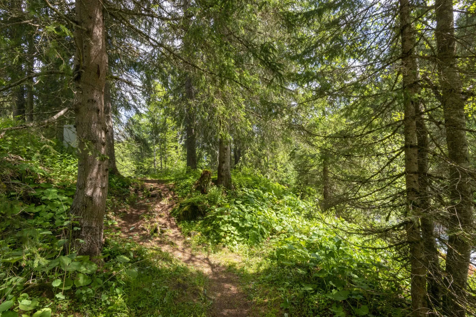 Haus Lukan Groß-Areas summer 20km