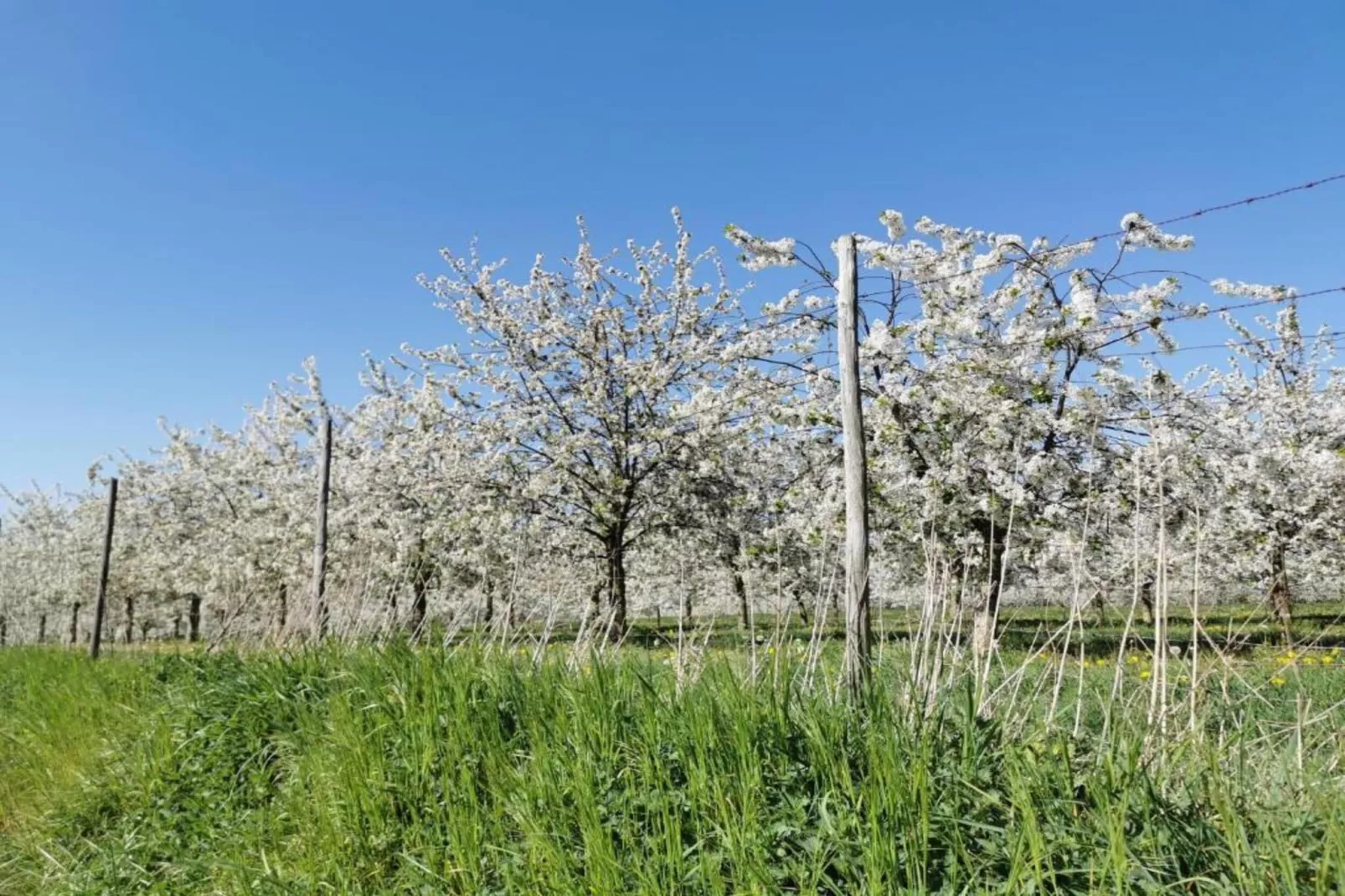 Resort Maastricht 40 - Gebiete Sommer 20 km