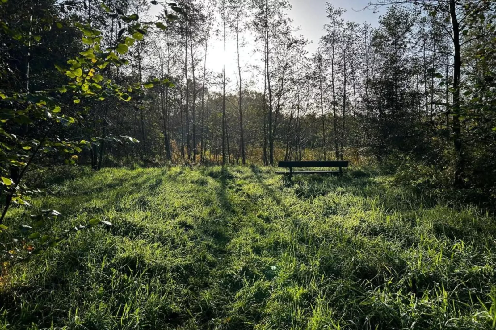 Huisje 'In de Tuin' A en B-Areas within 20km in summer