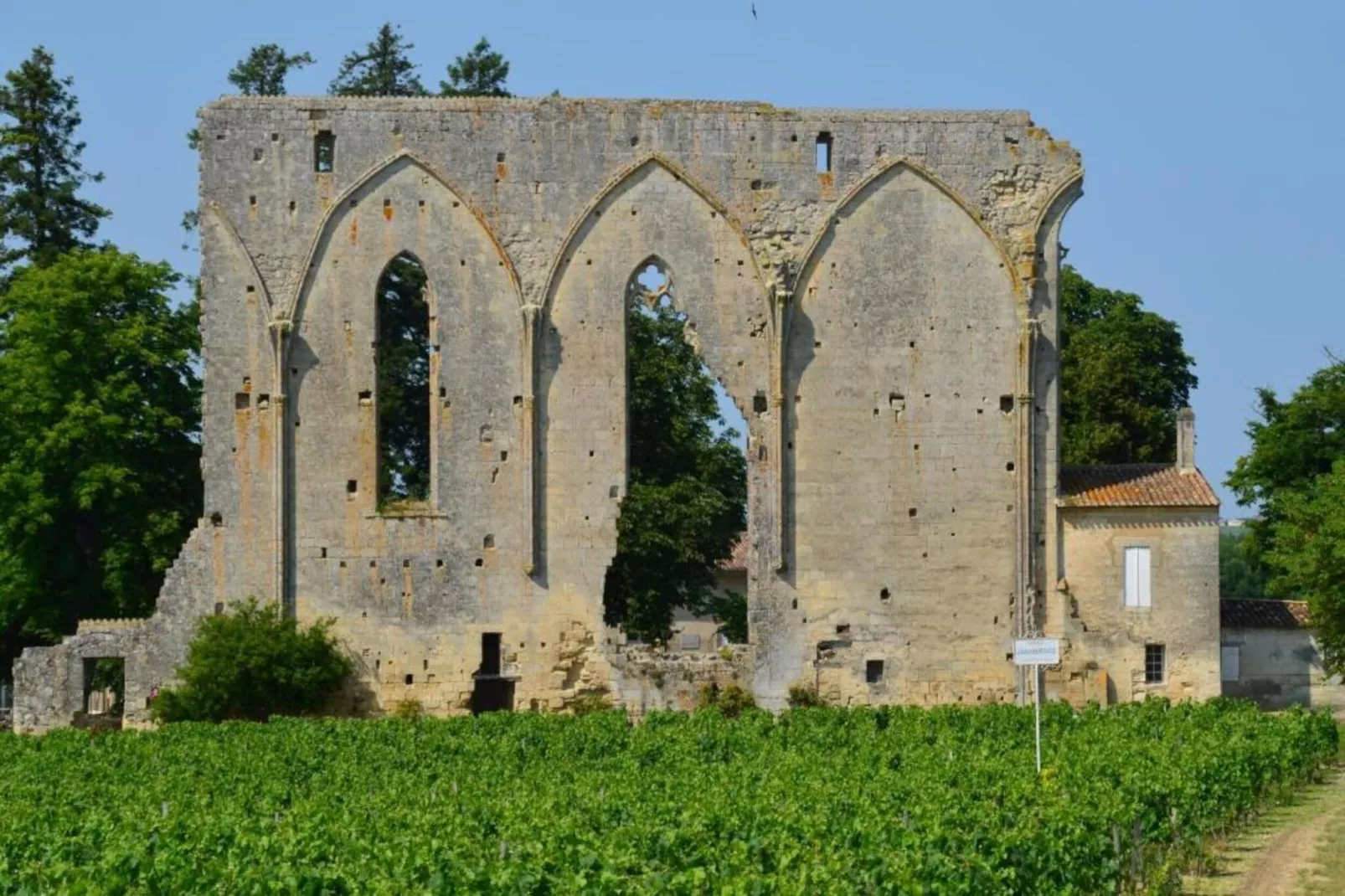 Camiran-Gebiete Sommer 20 km