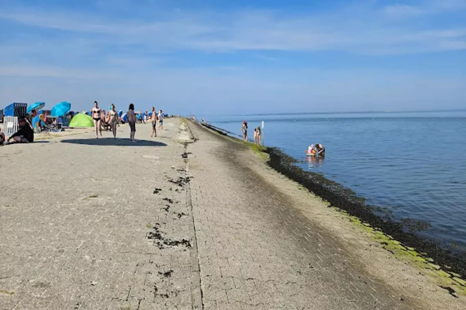 Bungalow Nordseebrise-Areas within 5km in summer