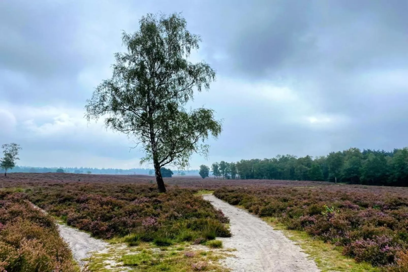 Halseweg 54-Areas within 20km in summer