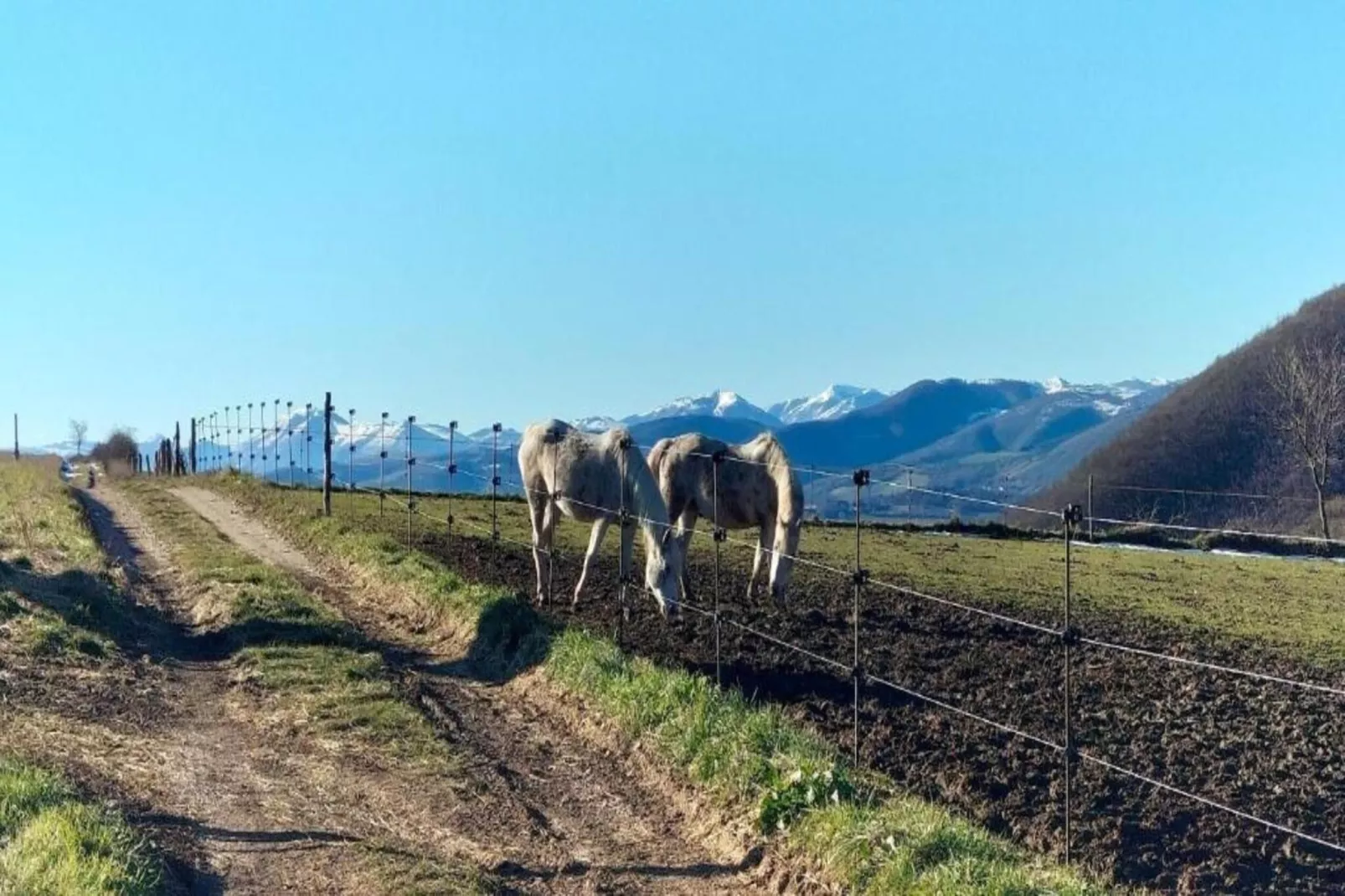 Binnella 10-Areas within 20km in summer