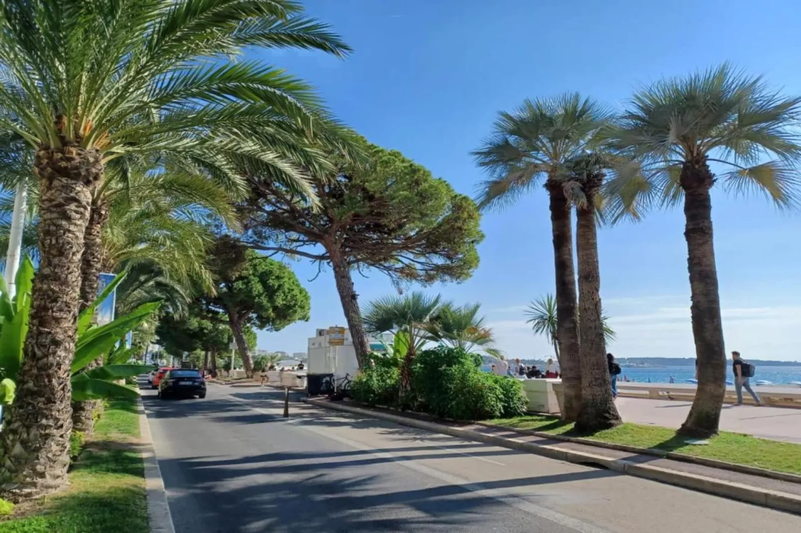 RD-27-MIMONT-2-Areas within 20km in summer