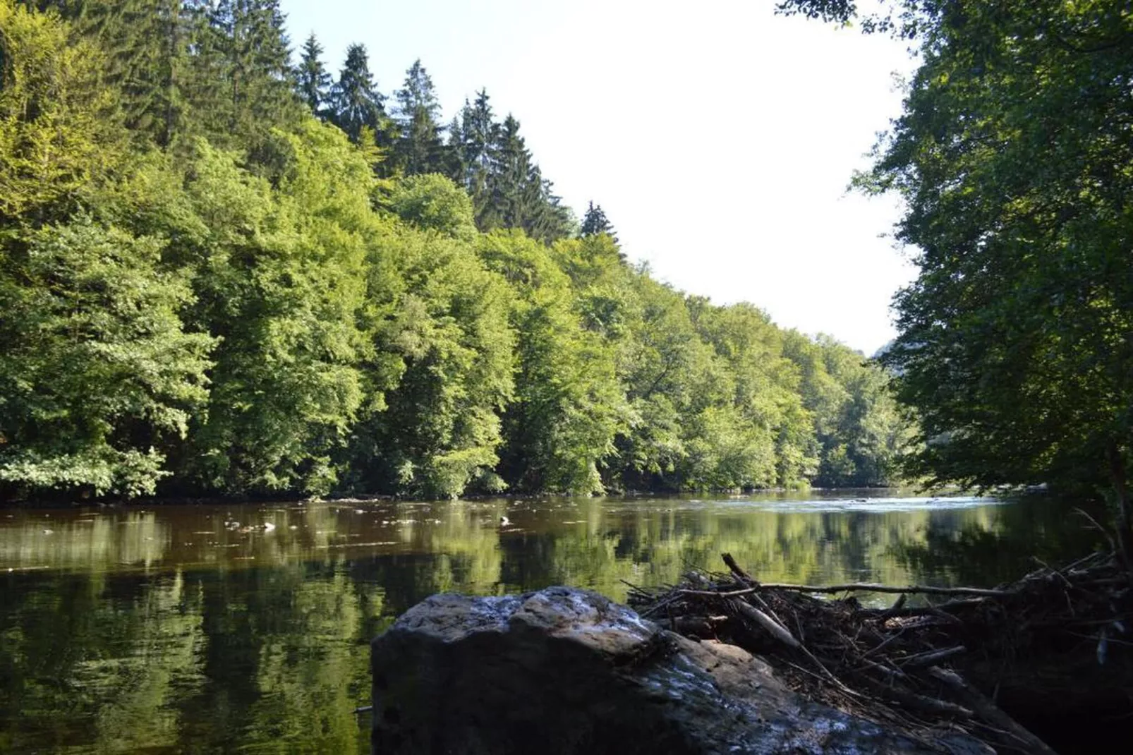 Pré Vert-Areas within 20km in summer
