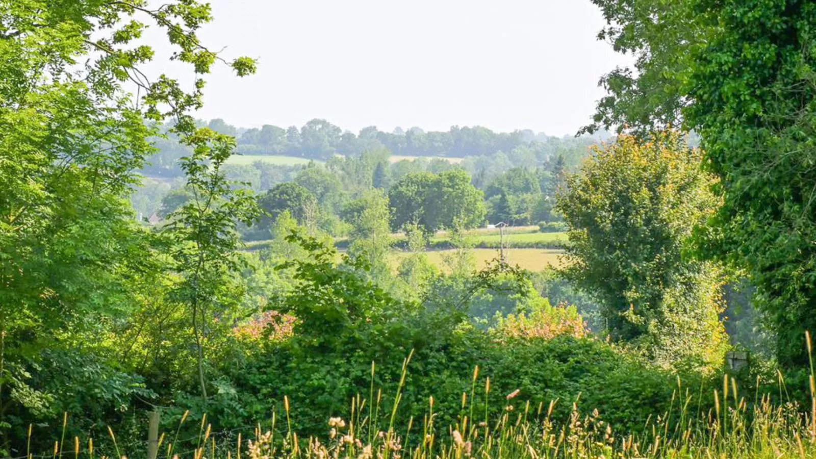 Gite Le Chevalier-View summer