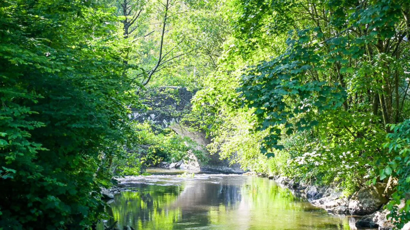 Gite Le Chevalier-Areas summer 5km