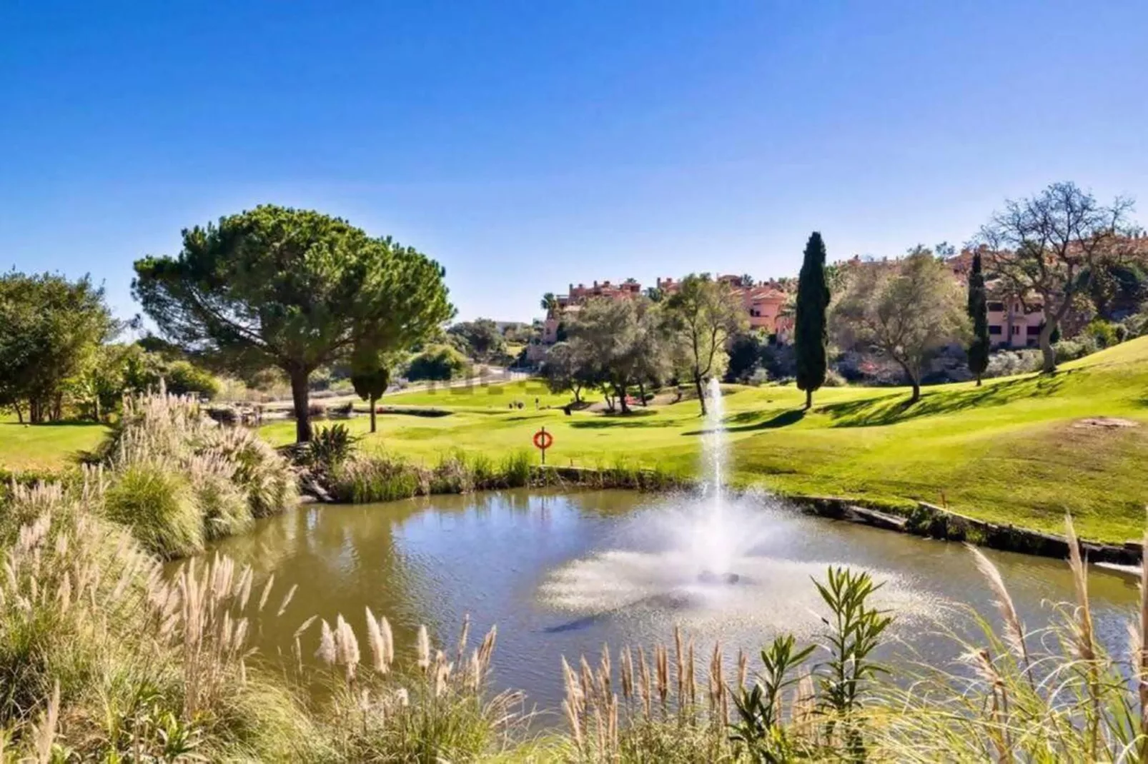 Floresta Sur 9-1-Areas within 20km in summer