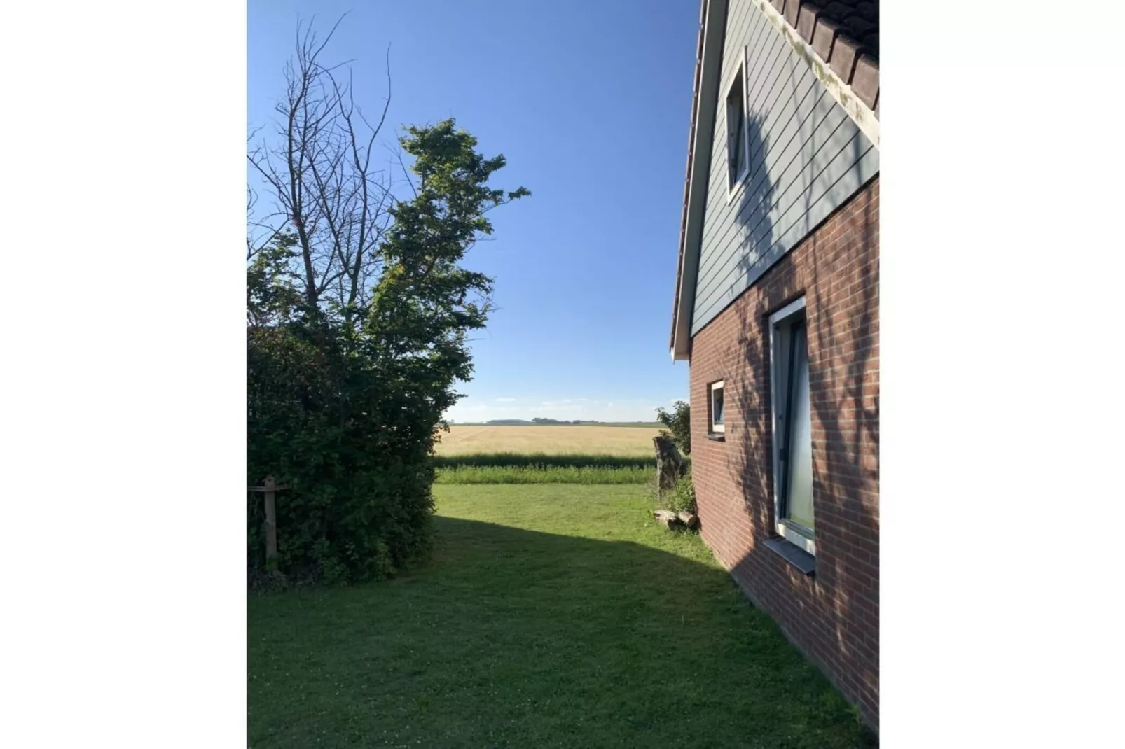 495316-Garten Sommer