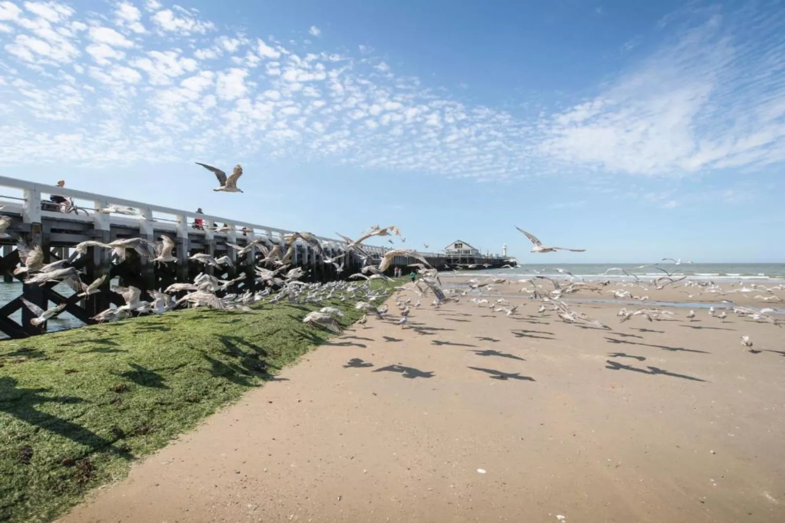 FASTNET - 91-Gebiete Sommer 1 km