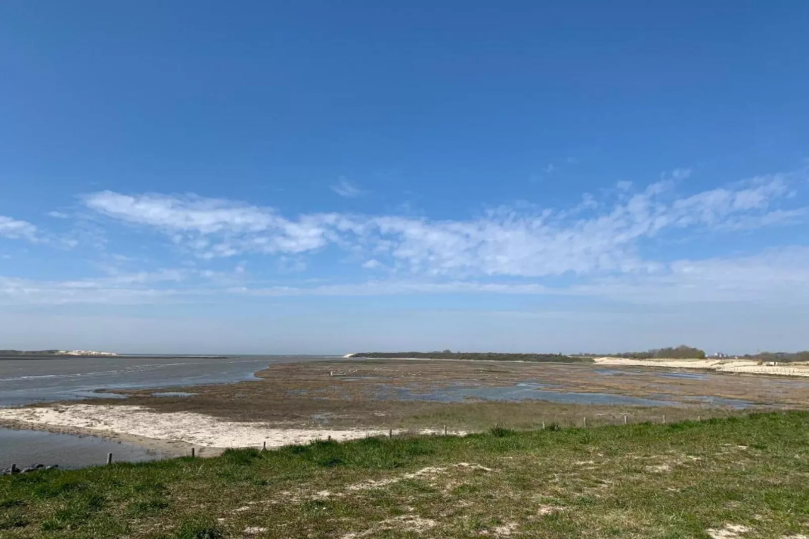 BLANKEDUYN - 2B-Gebiete Sommer 1 km