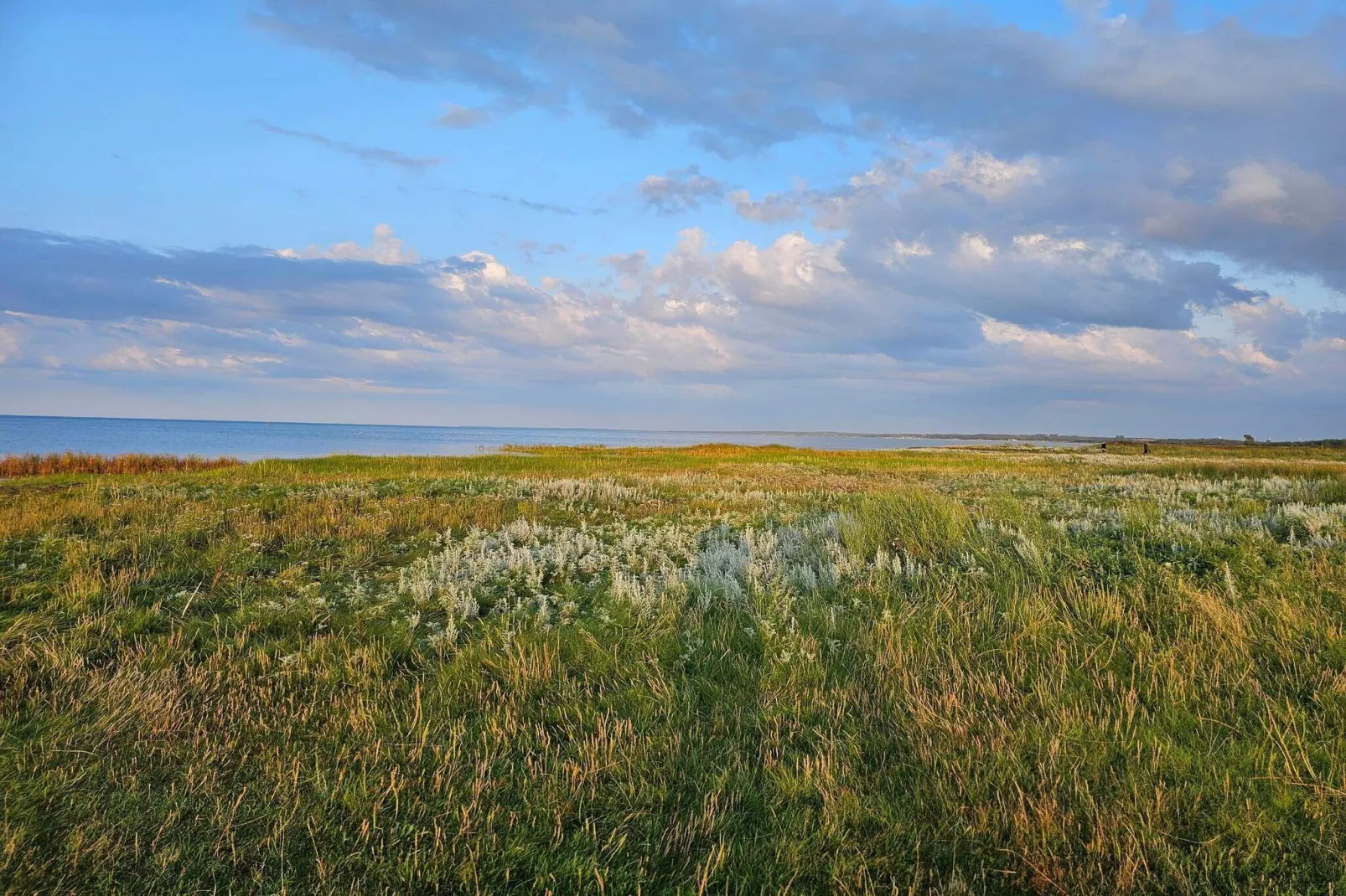8 person holiday home in Ørsted