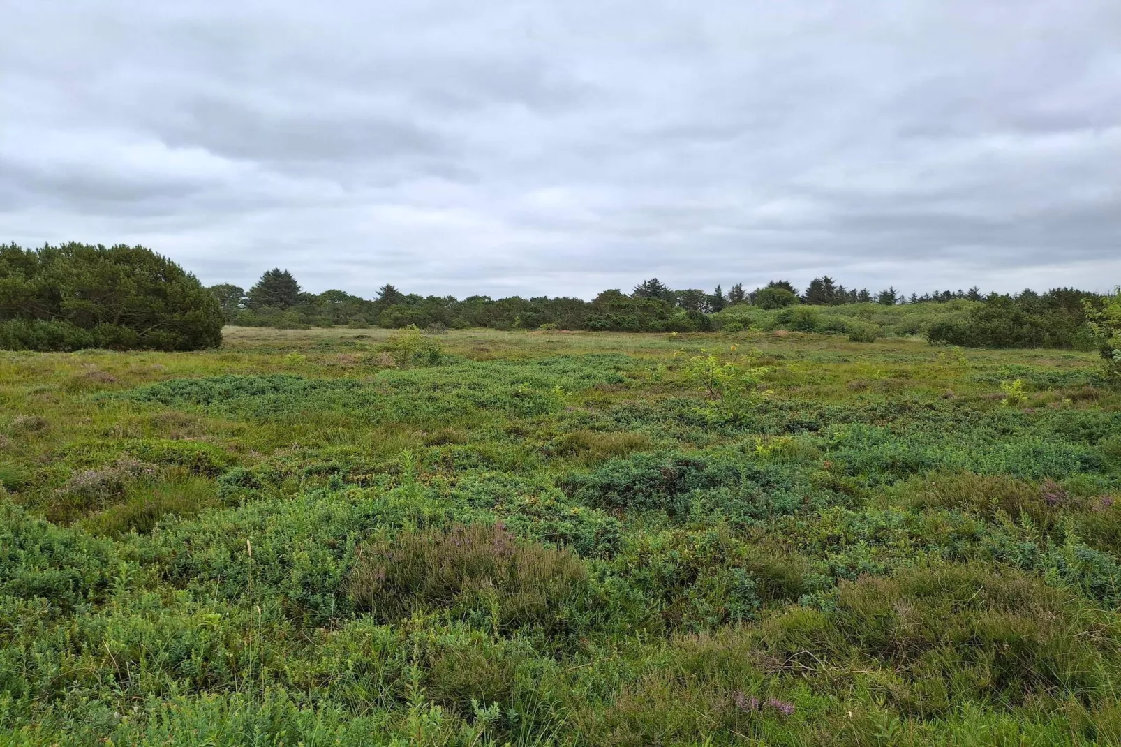 Cottage charmant avec fjord vue-By Traum-Non tagué