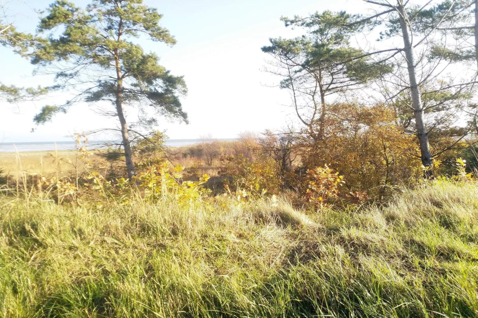 6 person holiday home in Hadsund-Untagged