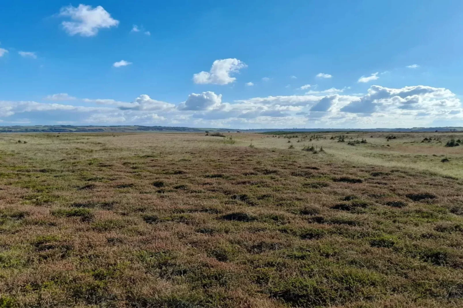 6 person holiday home in Lemvig