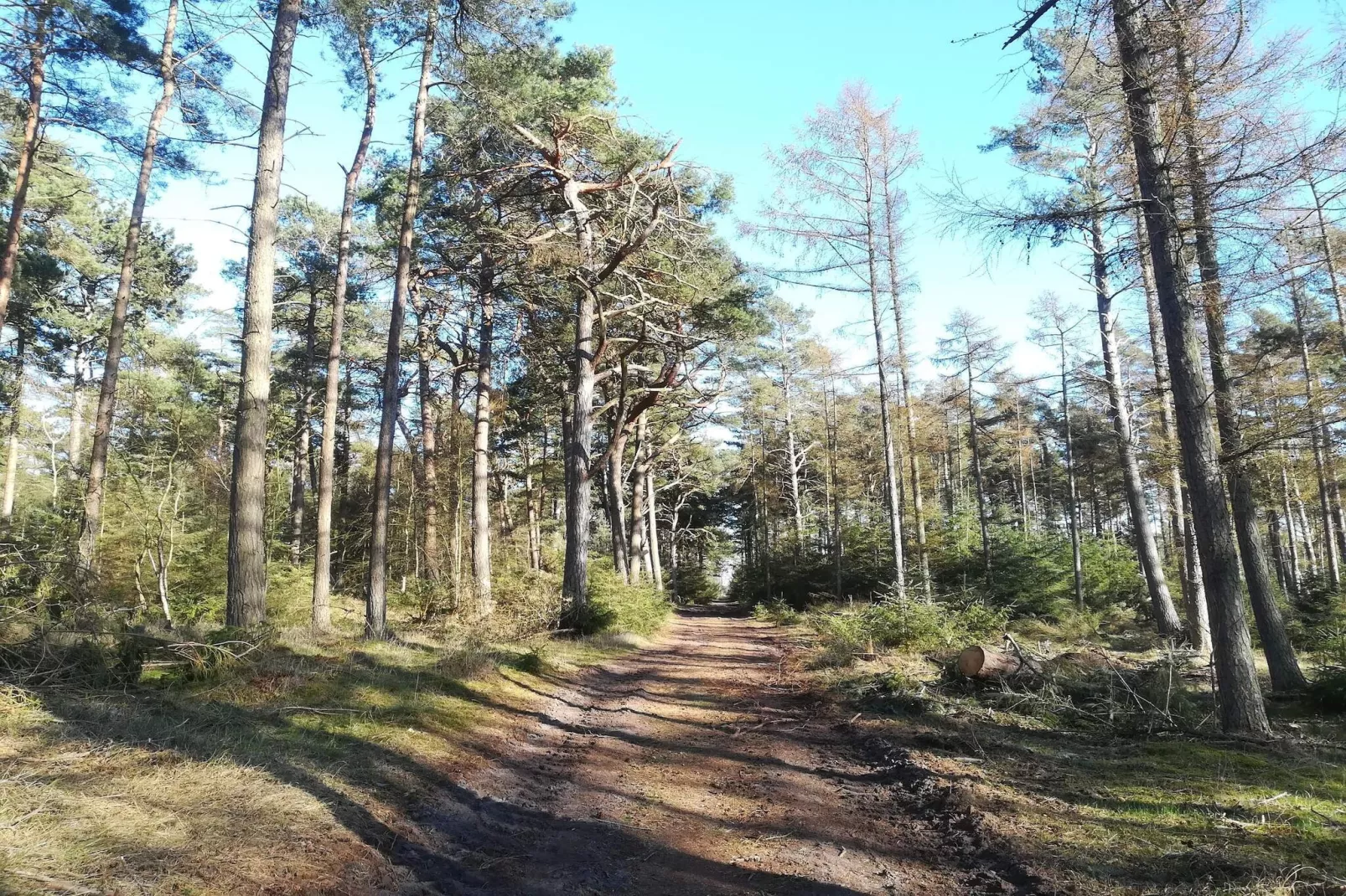 Maison de vacances pour 4 a Gedser