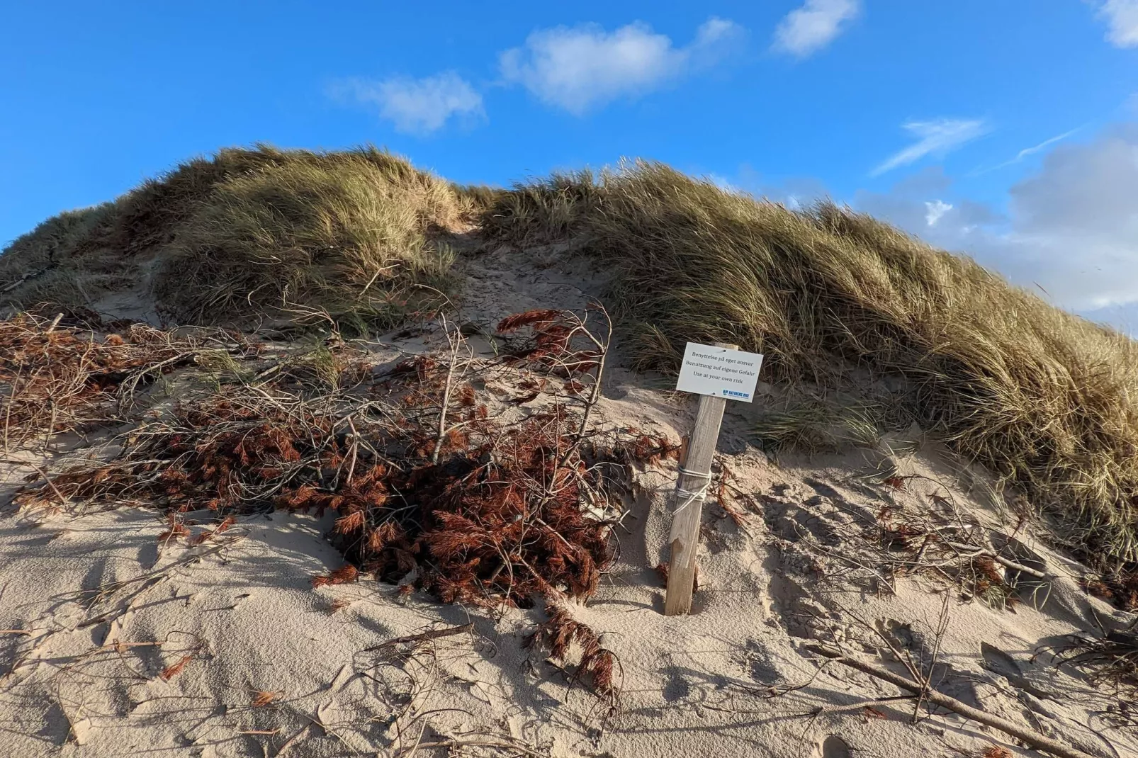 6 person holiday home in Ulfborg