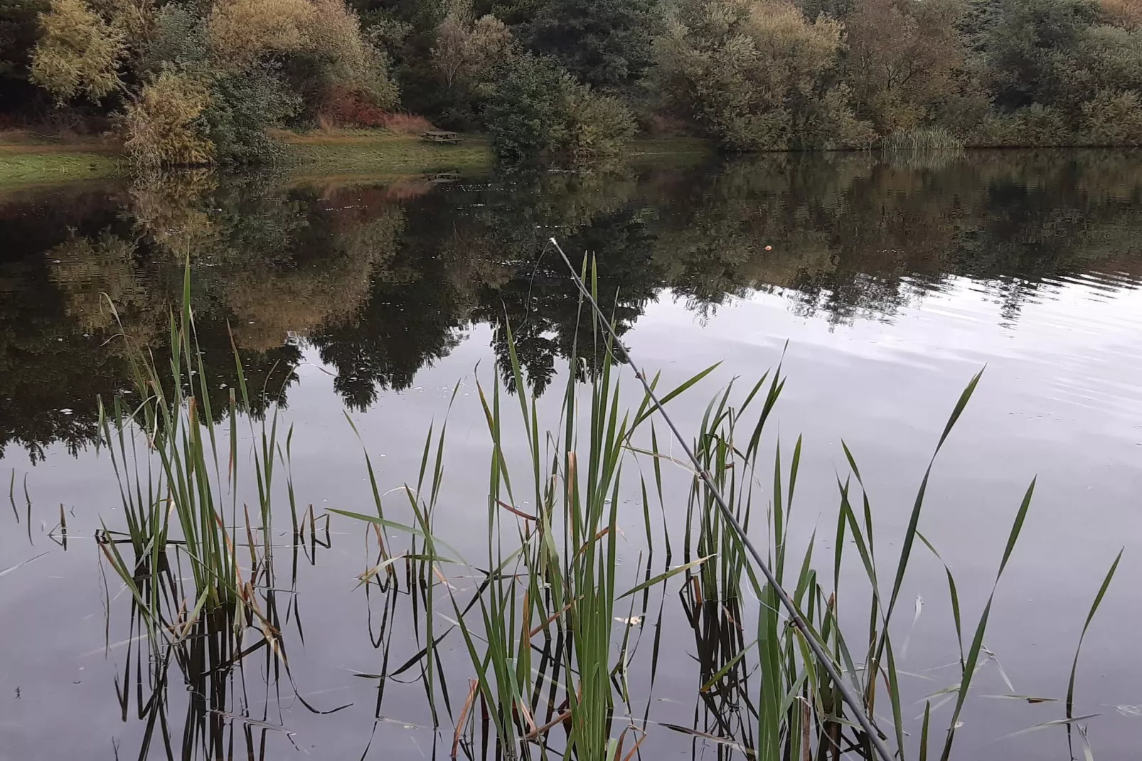 6 person holiday home in Ringkøbing-Water view
