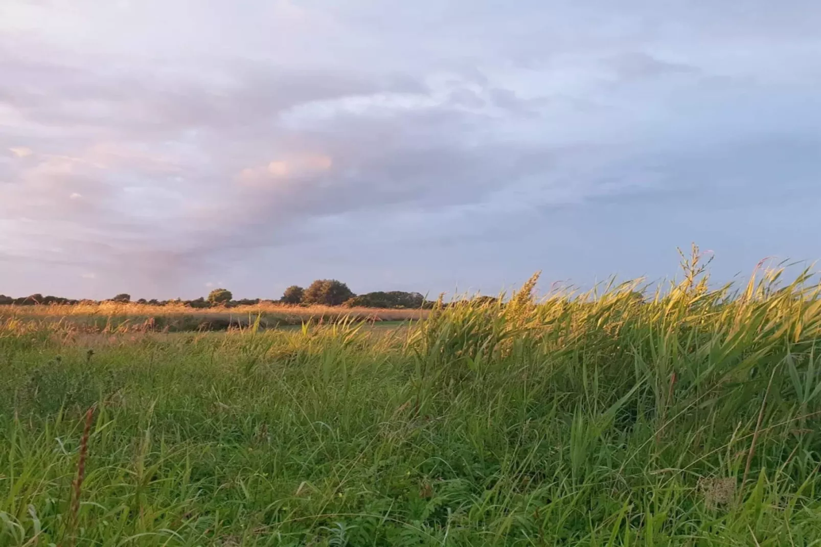 Maison de vacances pour 8 a Sydals-Non tagué