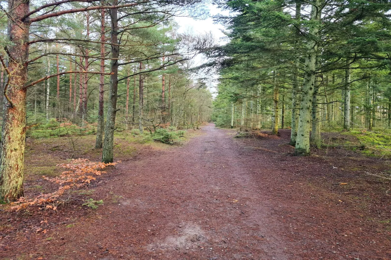 Maison de vacances pour 5 a Ålbæk