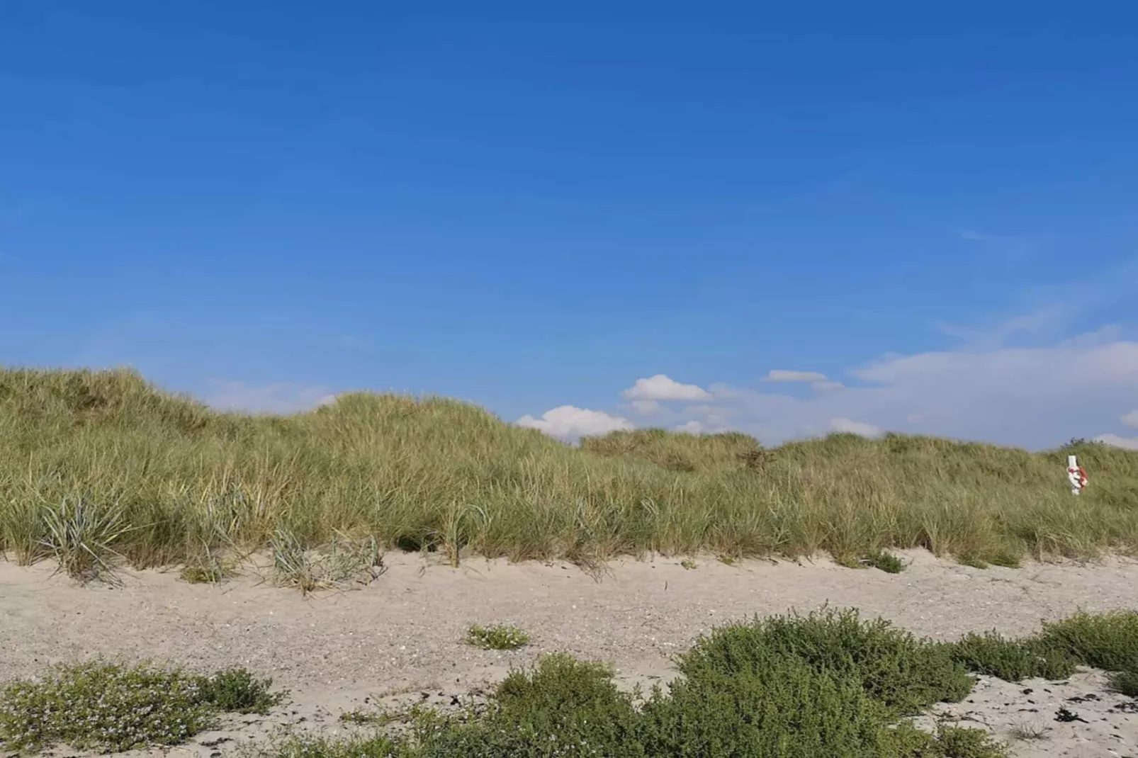 9 person holiday home in Dannemare-Untagged