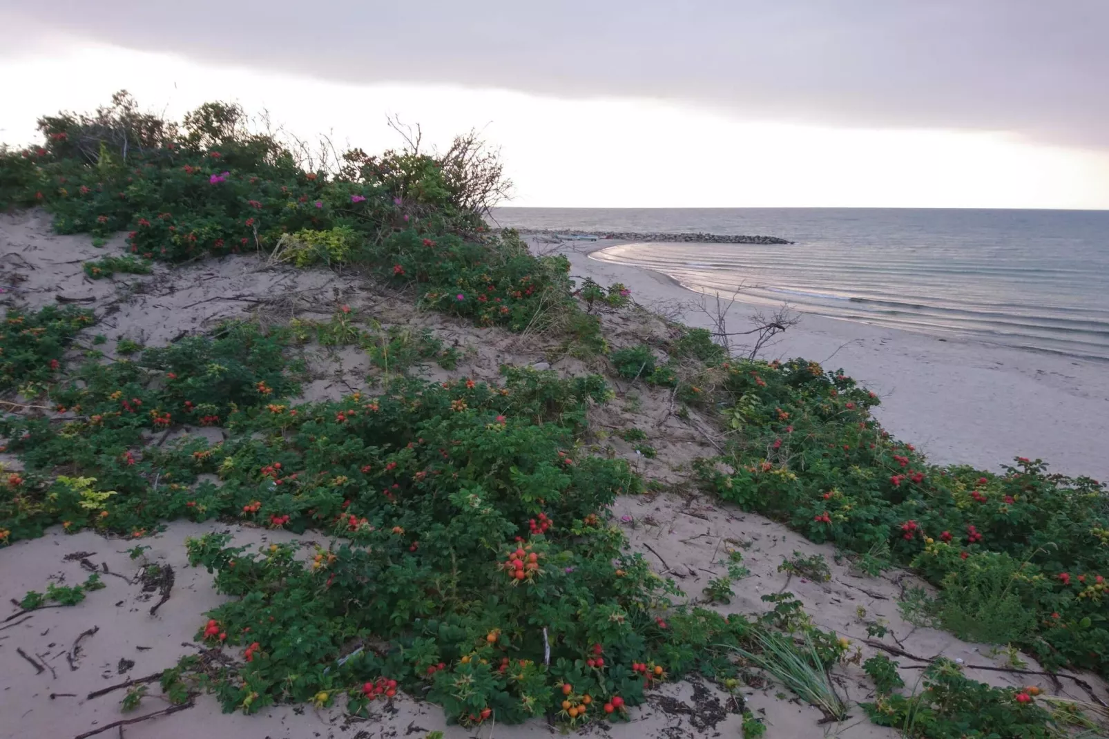 Maison de vacances pour 20 a Frederiksværk