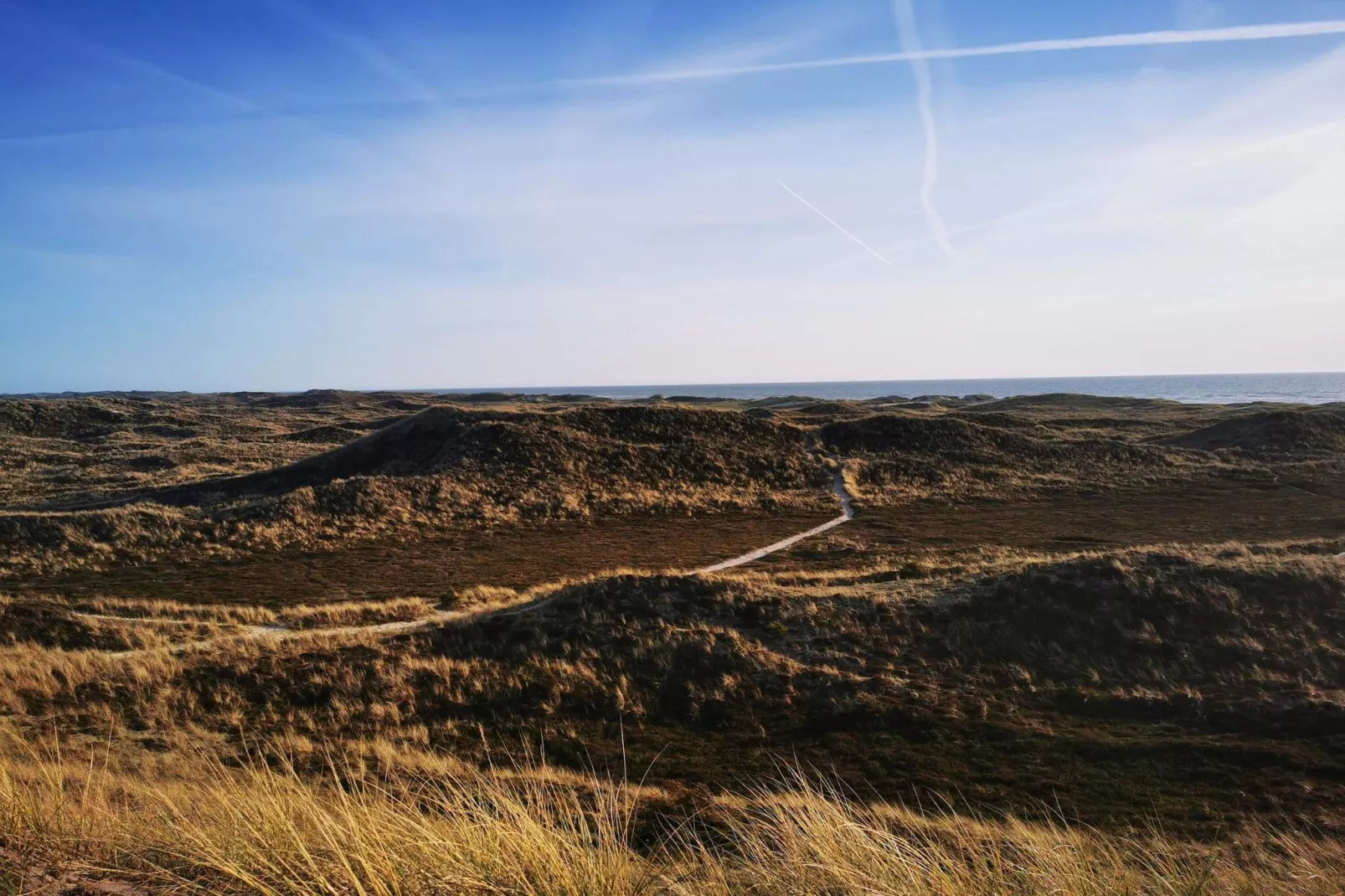 8 person holiday home in Ringkøbing