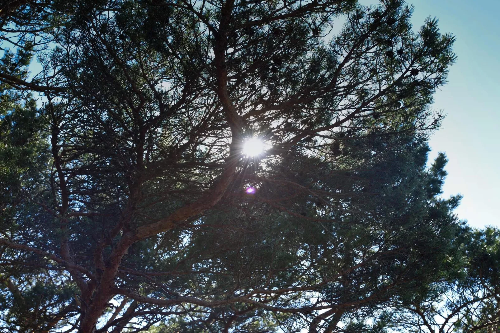 4 person holiday home in STRÖMSTAD-Untagged