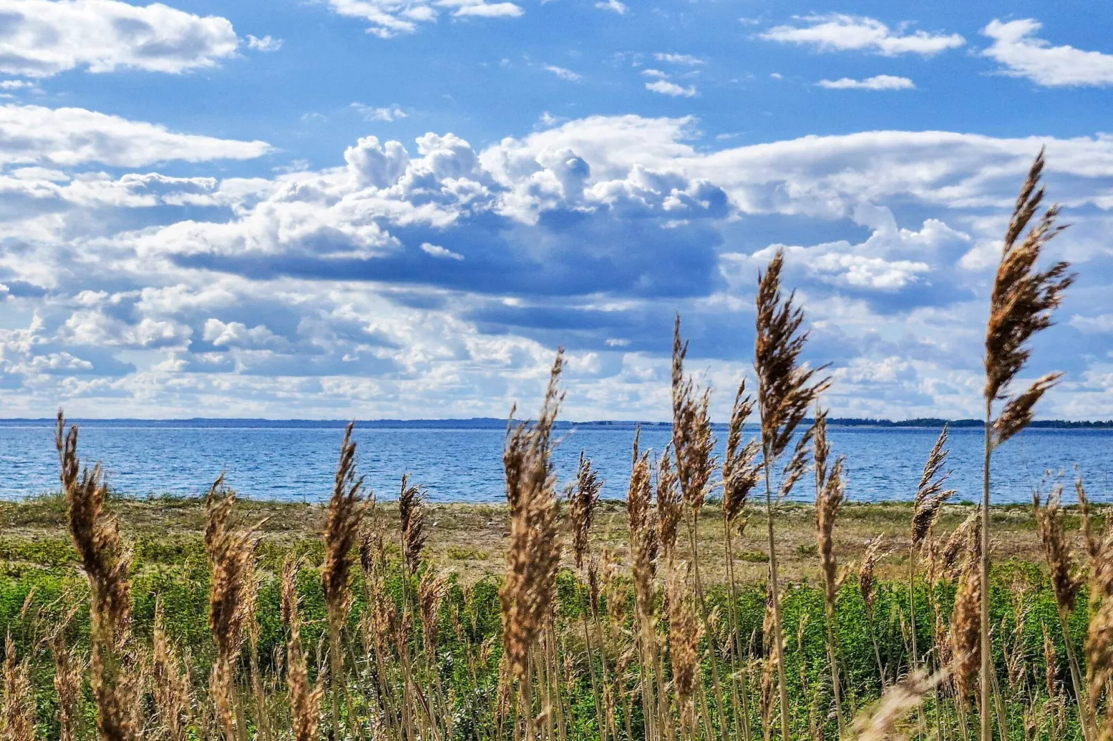 4 Personen Ferienhaus in Assens-Wasserblick
