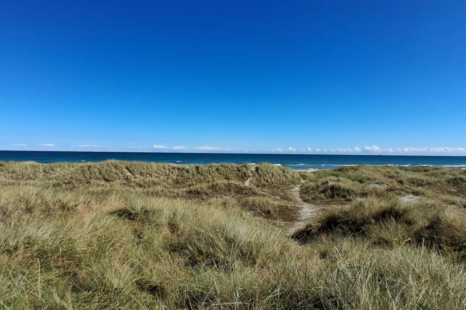 Idyllic Beach Retreat in Albaek-Untagged