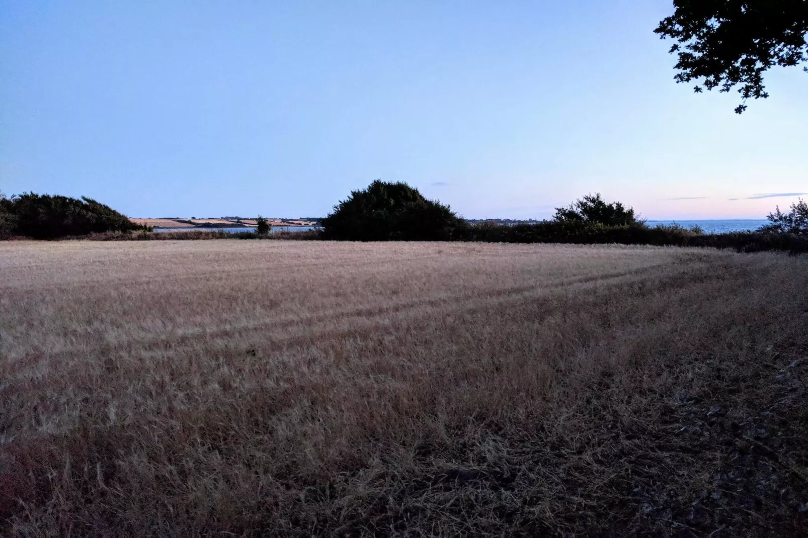 5 person holiday home in Millinge-Untagged