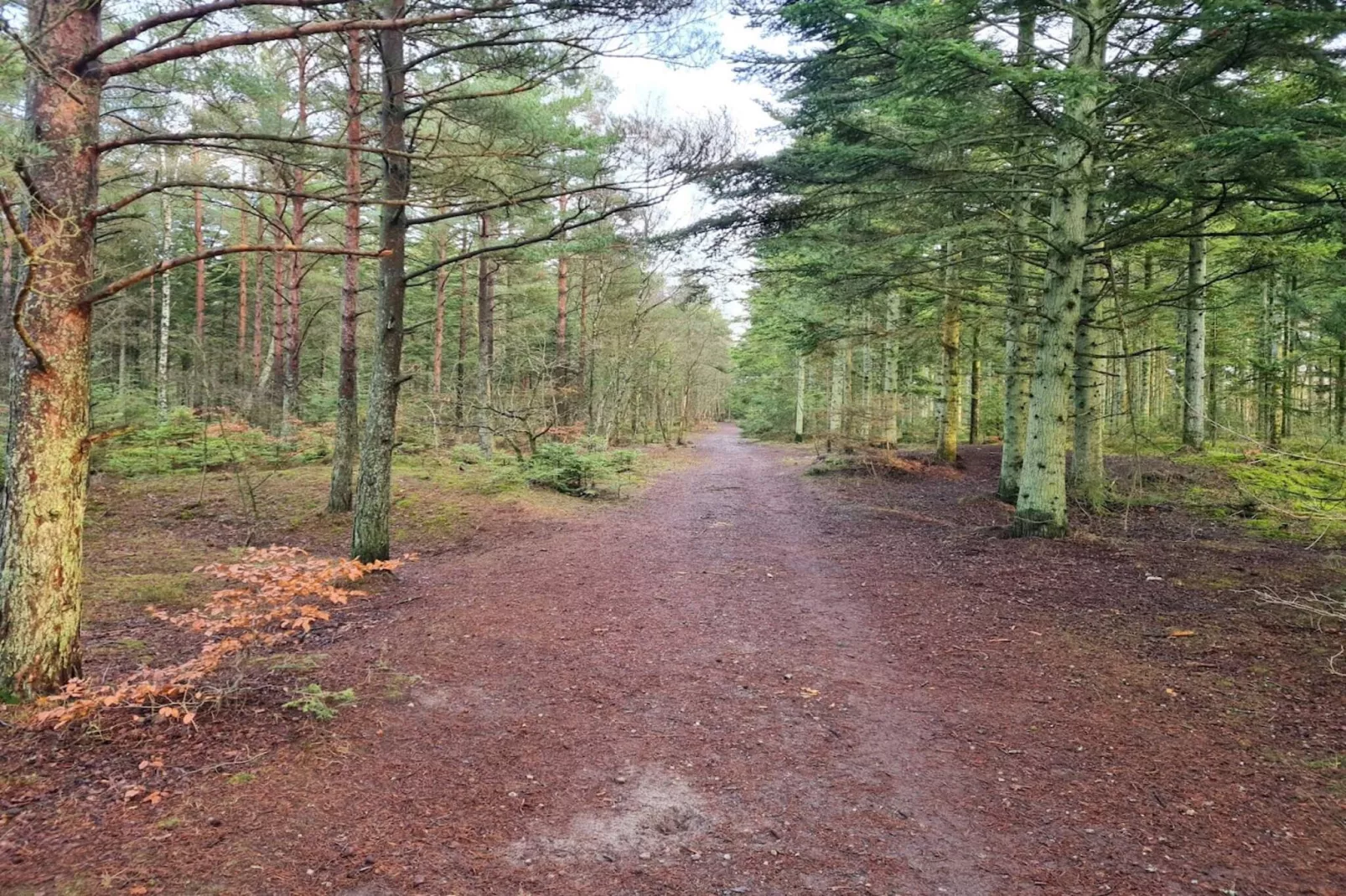 8 person holiday home in Ålbæk