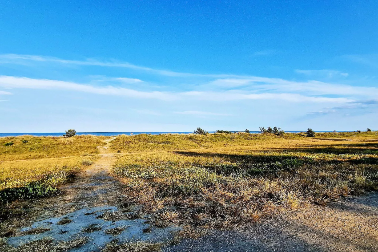 8 person holiday home in Væggerløse