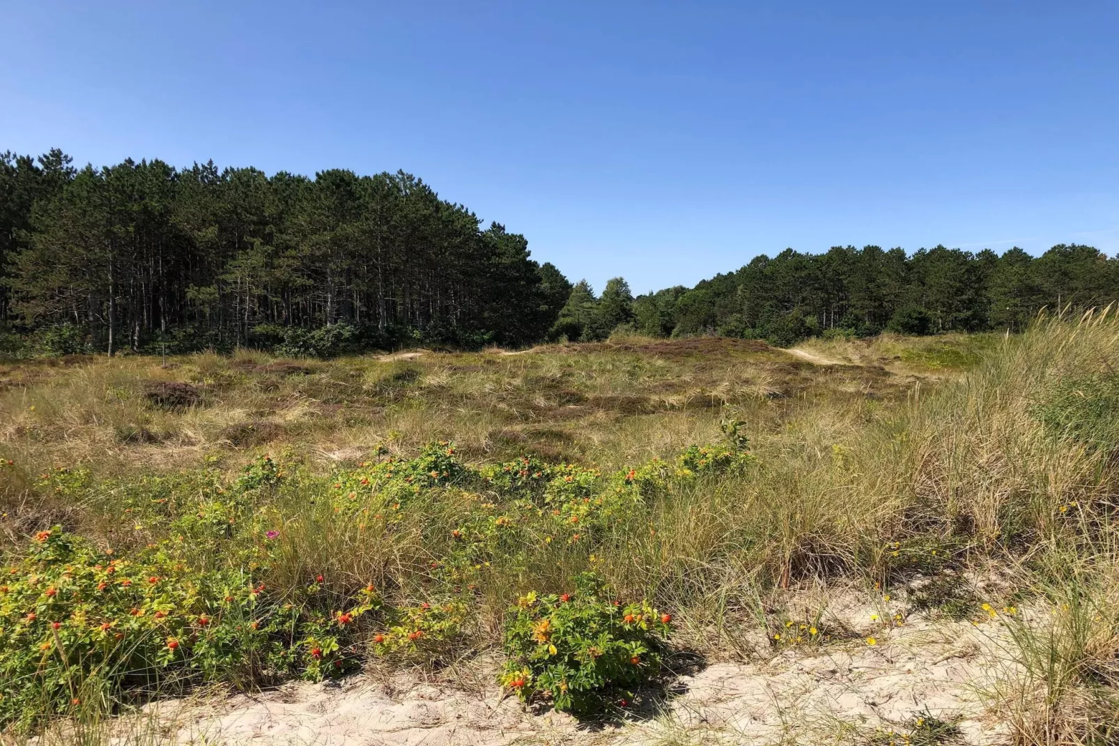 7 person holiday home in Grenaa