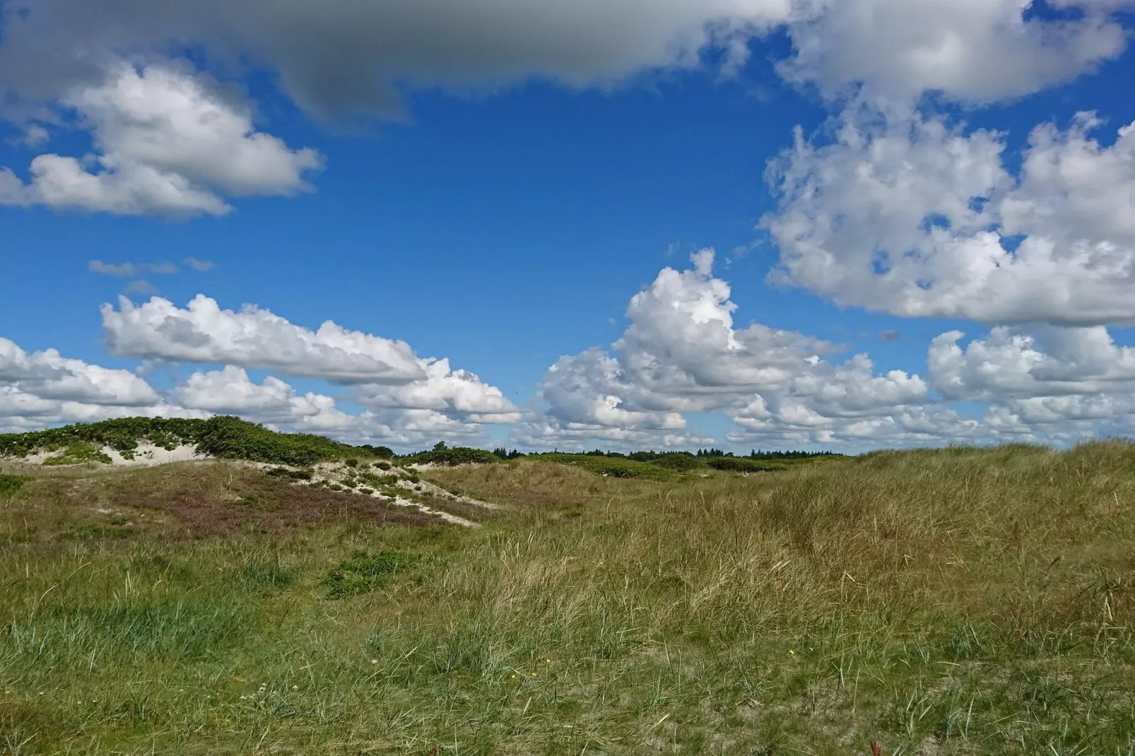 5 Personen Ferienhaus in Hals-Nicht zugeordnet