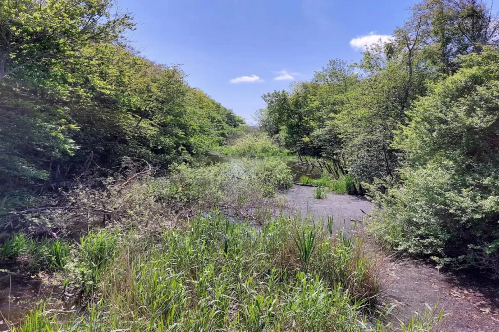 Maison de vacances pour 4 a Henne